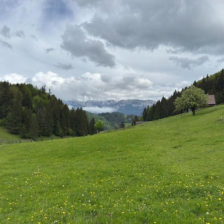Andolia Villa Moeciu De Sus Bagian luar foto