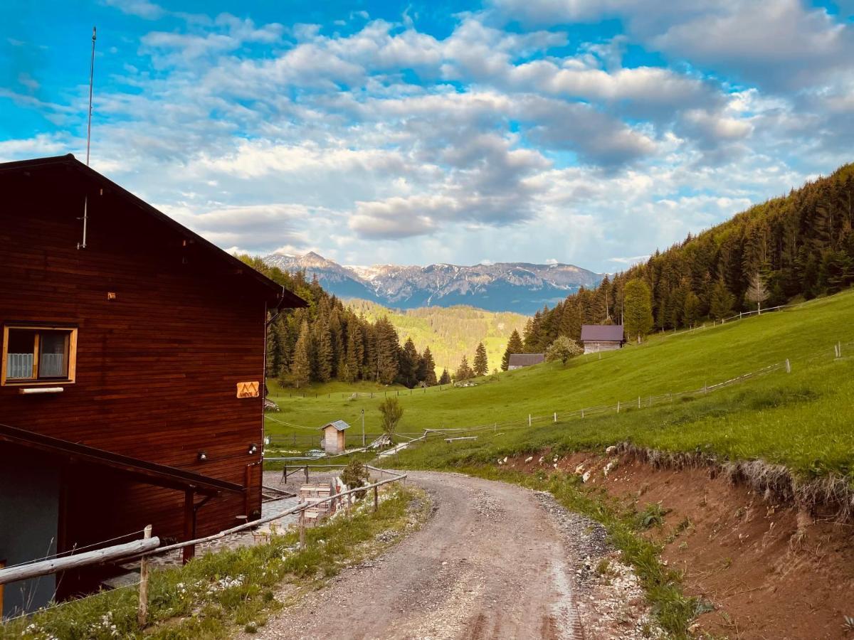 Andolia Villa Moeciu De Sus Bagian luar foto