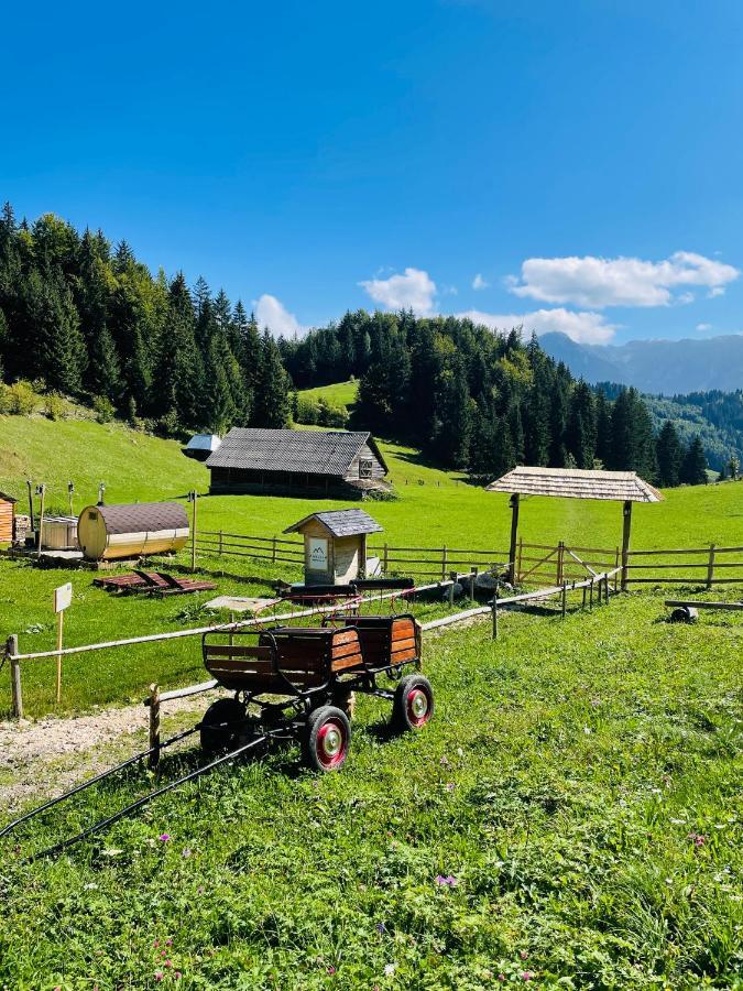 Andolia Villa Moeciu De Sus Bagian luar foto