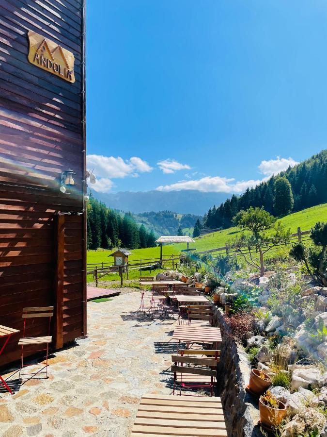 Andolia Villa Moeciu De Sus Bagian luar foto