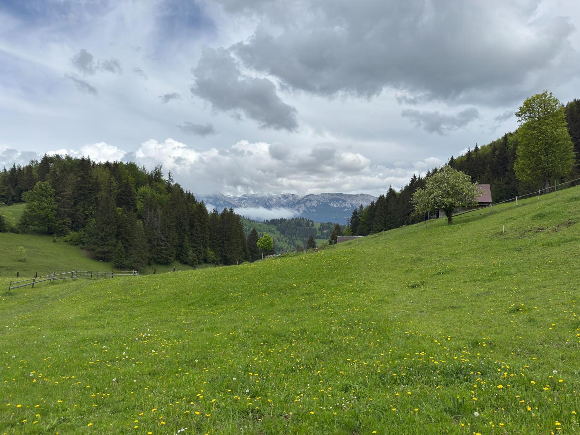 Andolia Villa Moeciu De Sus Bagian luar foto