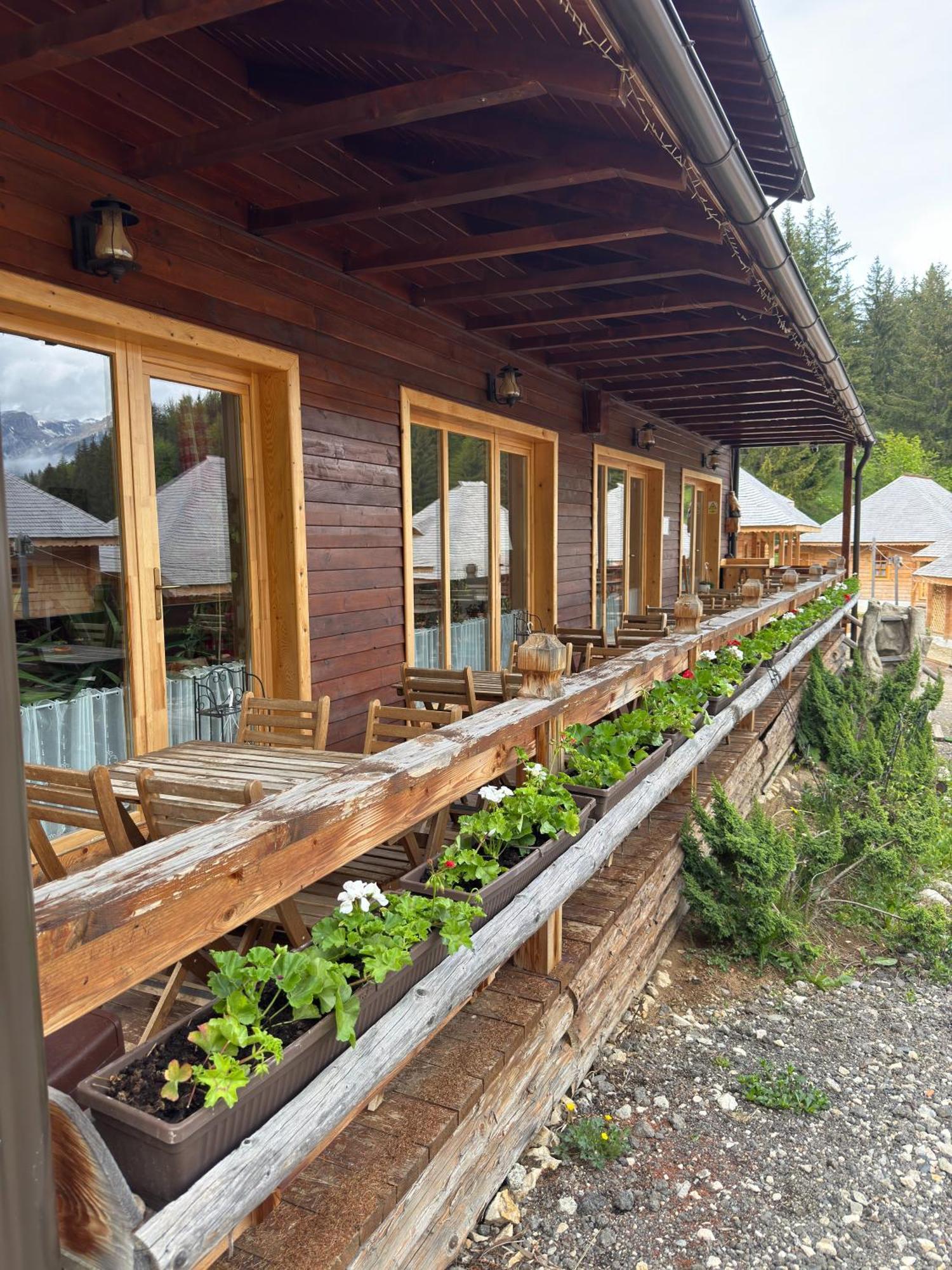 Andolia Villa Moeciu De Sus Bagian luar foto